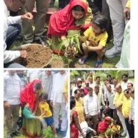 विश्व पर्यावरण दिवस पर विधायक पूर्णिमा साहू ने सिदगोड़ा सूर्य मंदिर परिसर में कार्यकर्ताओं के संग किया पौधारोपण, पर्यावरण संरक्षण का दिया संदेश…..
