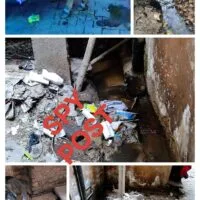 काशीडीह बागान एरिया में आबादी के बीच गोपालन और भैंस पालन की वजह से महामारी की आशंका प्रबल…..