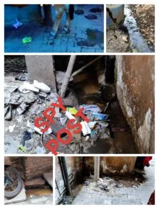 काशीडीह बागान एरिया में आबादी के बीच गोपालन और भैंस पालन की वजह से महामारी की आशंका प्रबल…..
