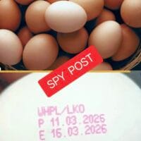 उत्तर प्रदेश में अब अंडों की भी एक्सपायरी डेट, झारखंड में ऐसा कब होगा?